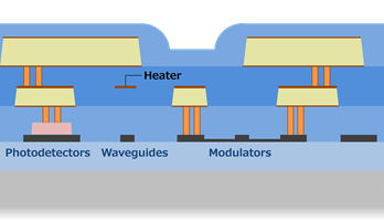 Silicon Cross‑Sectional View