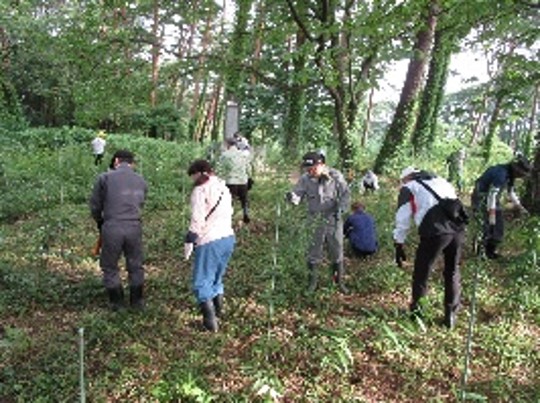 地域とともに花を育む取り組み プランターへの植え付け