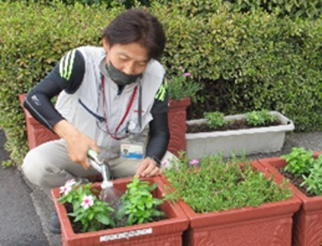地域とともに花を育む取り組み 花苗の植栽風景