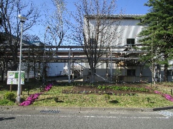 希少植物花壇の保全活動 花壇の植栽
