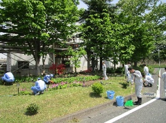 希少植物花壇の保全活動 維持管理の様子